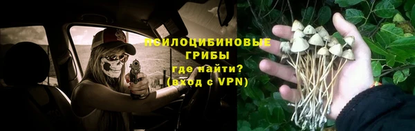 a pvp Армянск