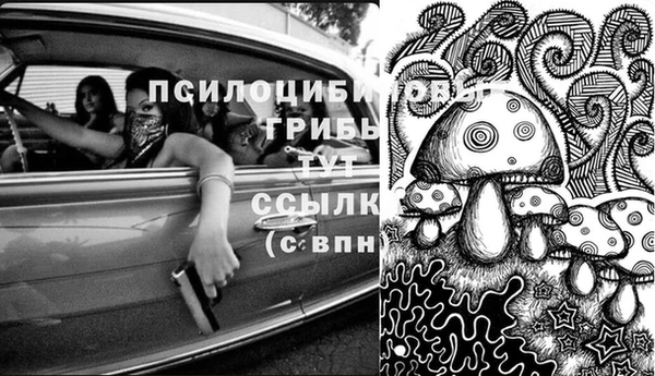 COCAINE Баксан