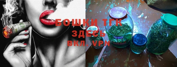шишки Аркадак