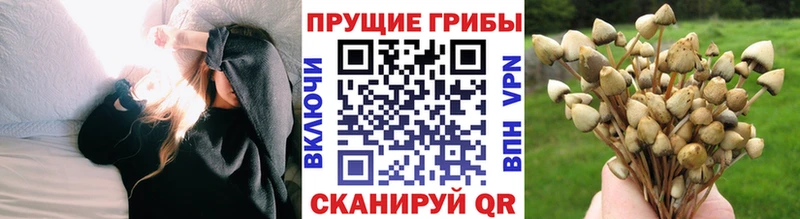 площадка наркотические препараты  Верещагино  Галлюциногенные грибы ЛСД 